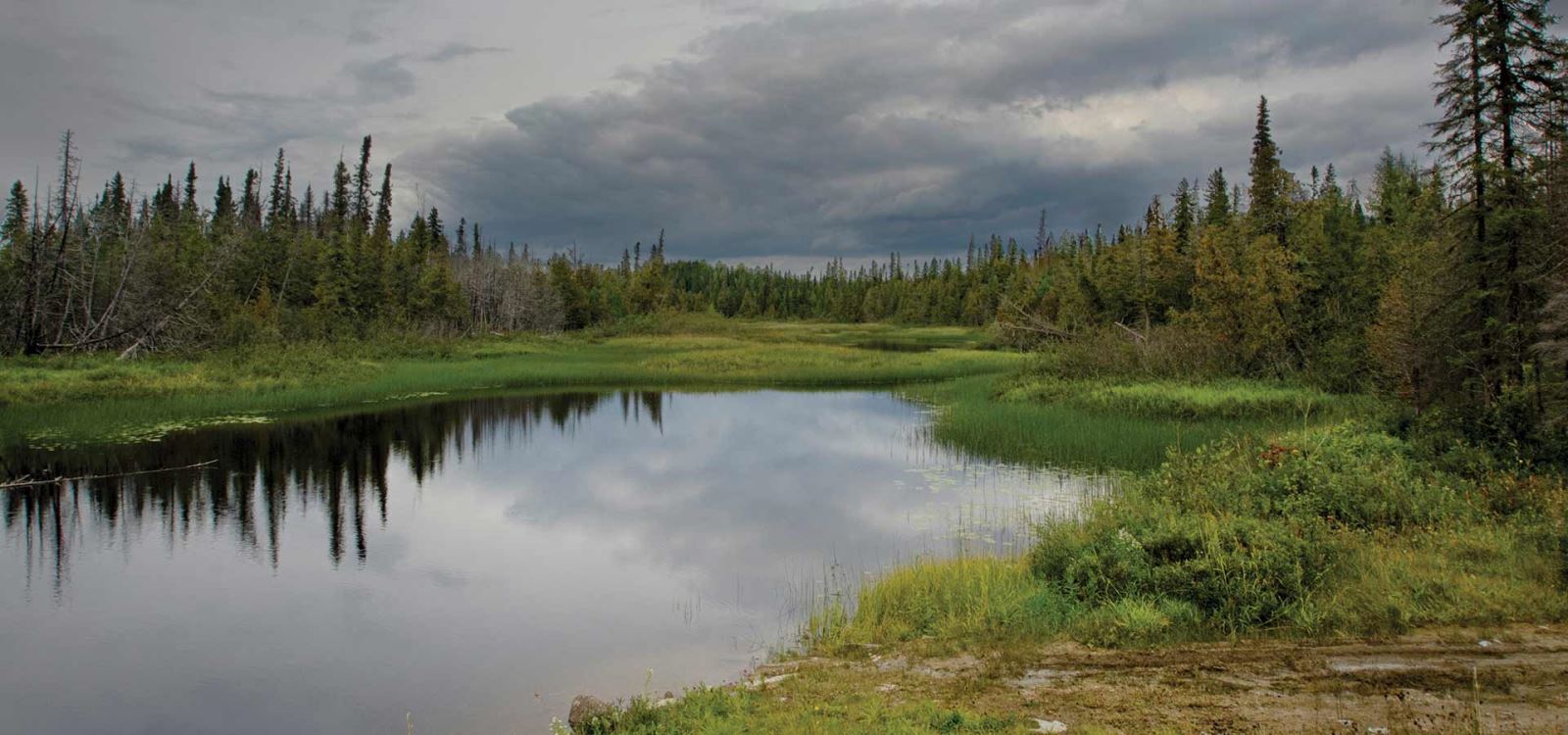 Cochrane