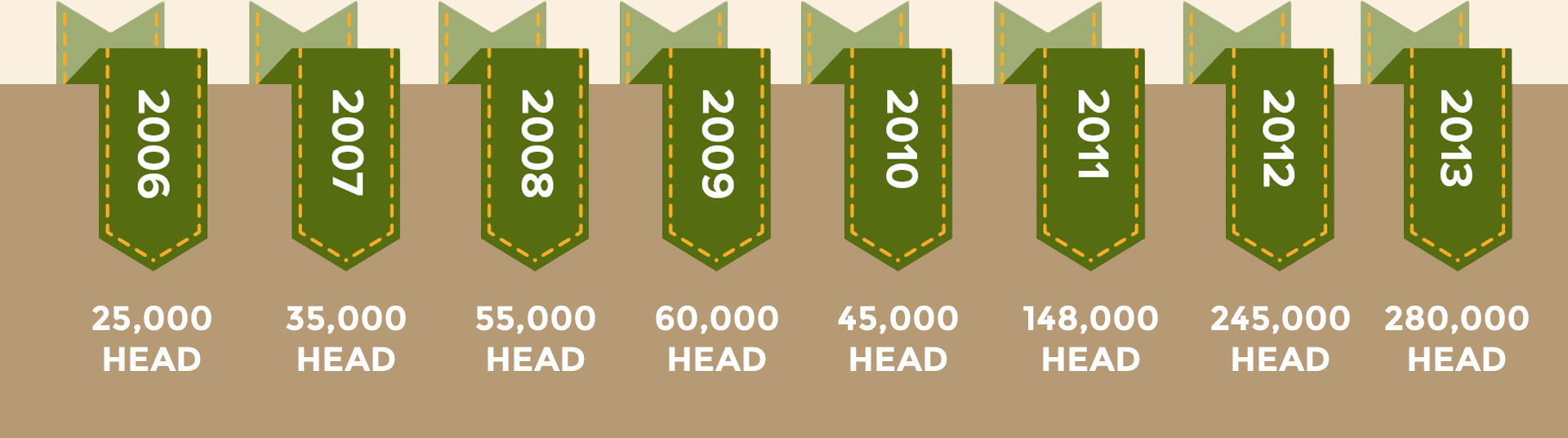 Ontario Corn Fed Beef Growth